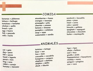 Mi Primer Diccionario de Ingles