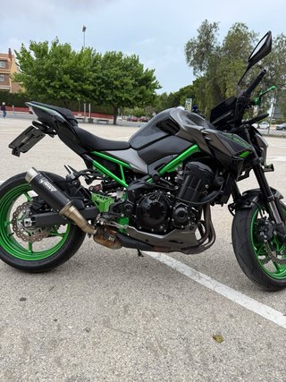 Kawasaki Z900 2024 Gris/Verde