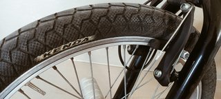 BMX Fishbone RH 10 ZOLL