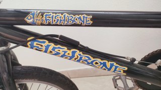 BMX Fishbone RH 10 ZOLL