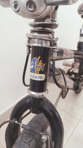 BMX Fishbone RH 10 ZOLL