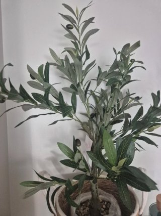 Planta Olivo Artificial Decorativa