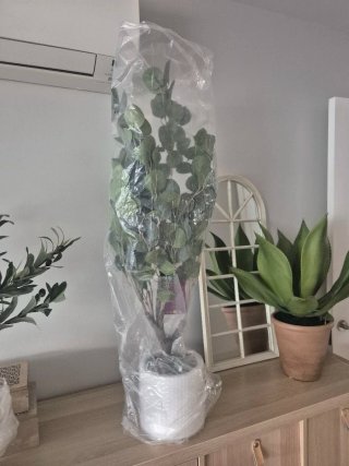 Planta de Eucalipto Artificial