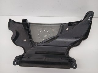 TAPA MOTOR BMW SERIE 3 BERLINA (E46) 204D4D 13717