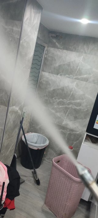 Limpiadora a Vapor Profesional 4Bares ( 2000W )
