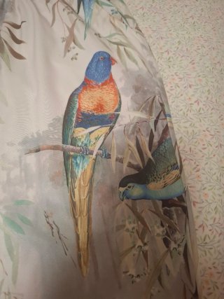 Pantalón estampado loros