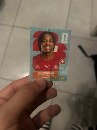 Carta Mundial Johan Manzambi