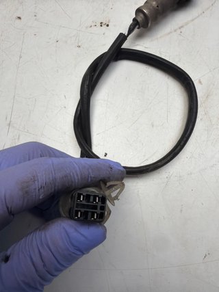 Sonda Lambda Honda CB Hornet 600 2009