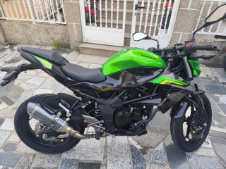 Kawasaki Z125 Naked Verde Negra