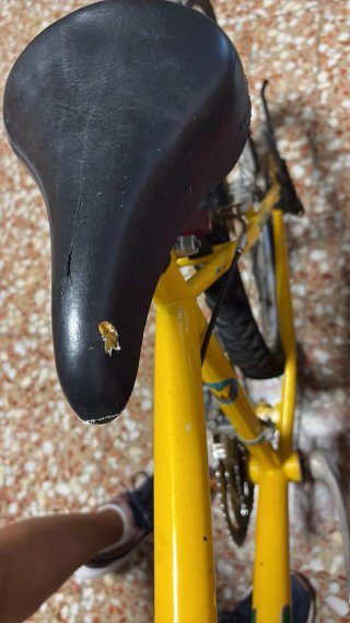 Bicicleta Top Trotter Roja y Amarilla