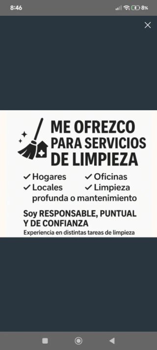 Trabajo de limpieza