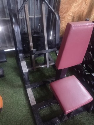 Máquina de remo con placas