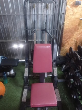 Máquina de remo con placas