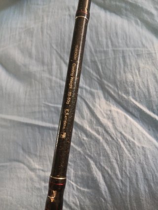Caña Shimano BX300H 2.7m