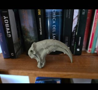 Réplica Garra Velociraptor Fósil