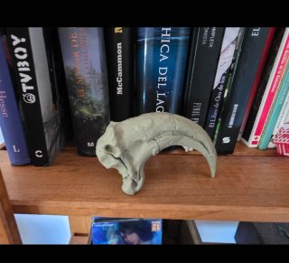 Réplica Garra Velociraptor Fósil