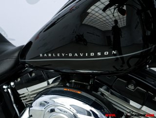 HARLEY-DAVIDSON SOFTAIL BLACKLINE
