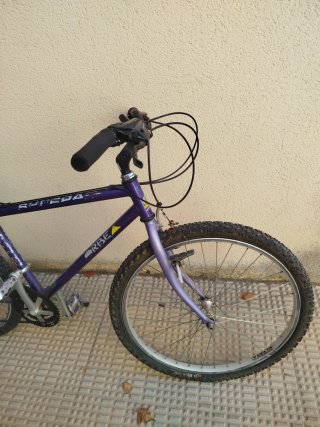 Bicicleta Orbea Morada