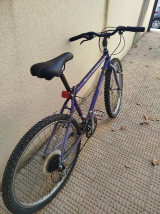 Bicicleta Orbea Morada