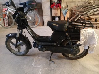 Derbi Variant