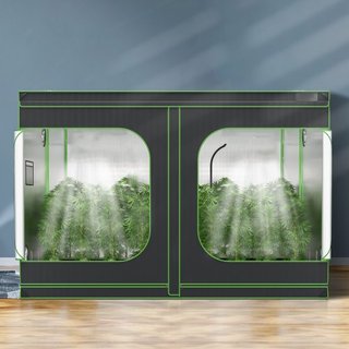 Carpa de Cultivo 10x10, 120'' x 120'' x 80'', Carpa Hidropónica de Mylar 600D de Alta Reflectividad con Ventana de Observación, Bolsa de Herramientas y Bandeja de Suelo para el Cultivo de Plantas ...