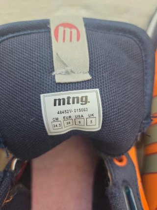 Lote Zapatillas Deportivas Talla 39