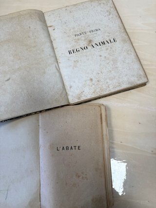 Libri antichi