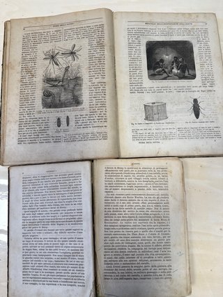 Libri antichi