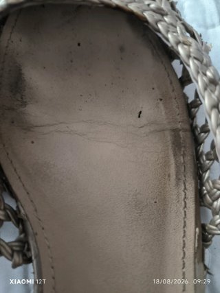 Zapatos dorados elegantes
