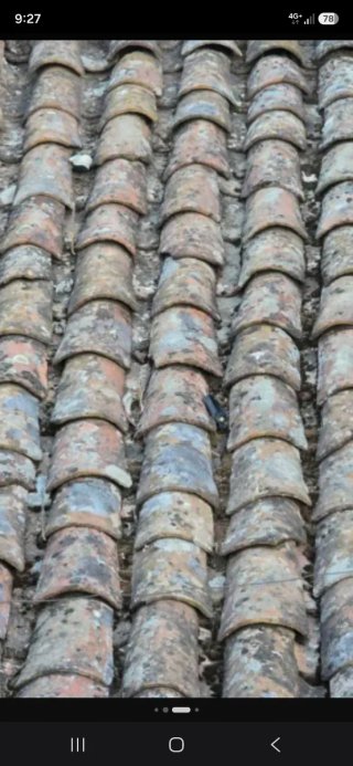 Tejas árabes curvas antiguas se compran