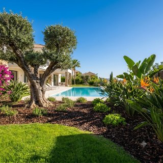 Servicio de Jardinería, Podas y Piscinas