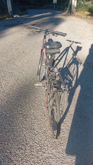 Bicicleta de paseo