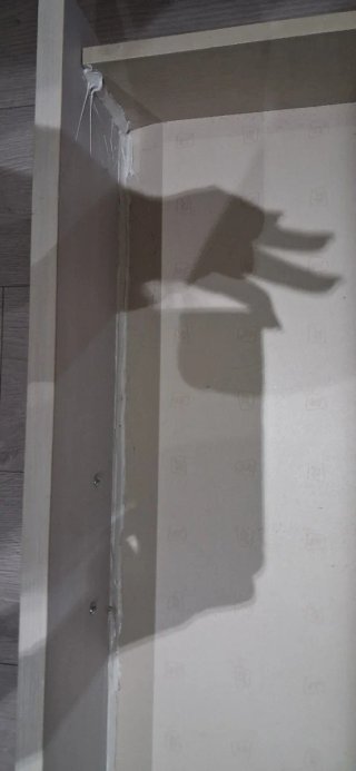 Litera con estantería y escalera
