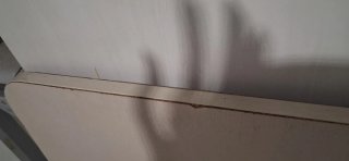 Litera con estantería y escalera