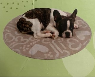 Alfombra Refrescante para Perros