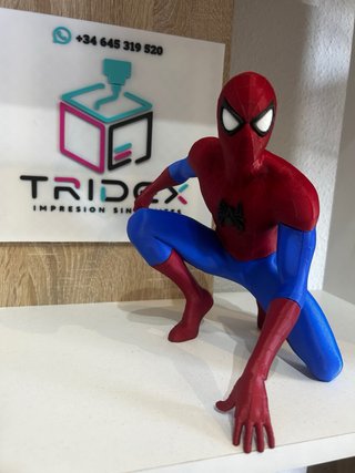 Figura Spiderman 3D
