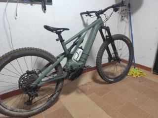 Specialized Turbo Levo Ally