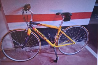 Bicicleta Giant Híbrida Talla 44