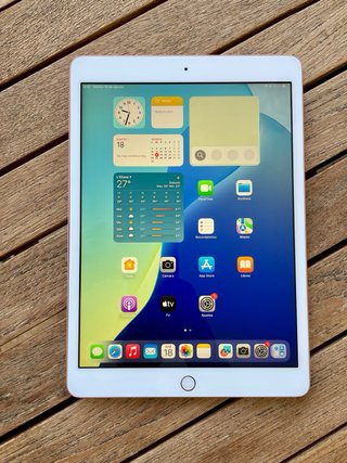 iPad 7ª Gen + Cargador Apple