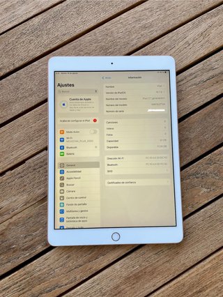 iPad 7ª Gen + Cargador Apple