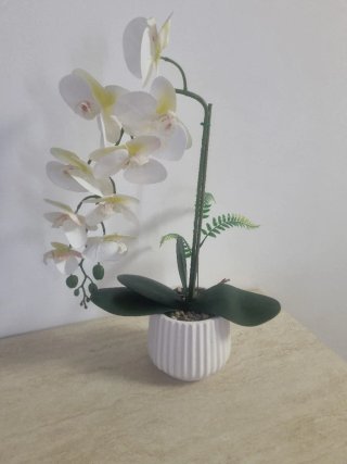 Orchidea in vaso decorativa