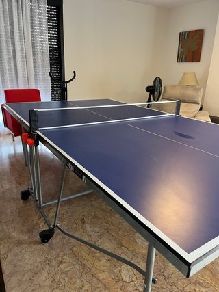 Mesa Ping Pong Artengo 730 Indoor