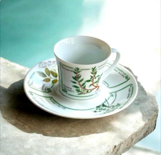 Taza y platillo de porcelana plantas medicinales.