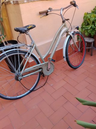 Bicicleta Clásica Chita