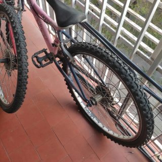Bicicletas Rin 20 (2 unidades)