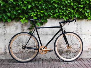Fixie Origin 8