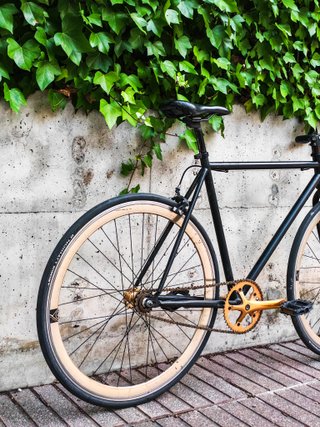 Fixie Origin 8