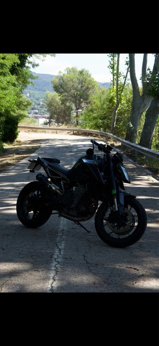 KTM Duke 790 2019