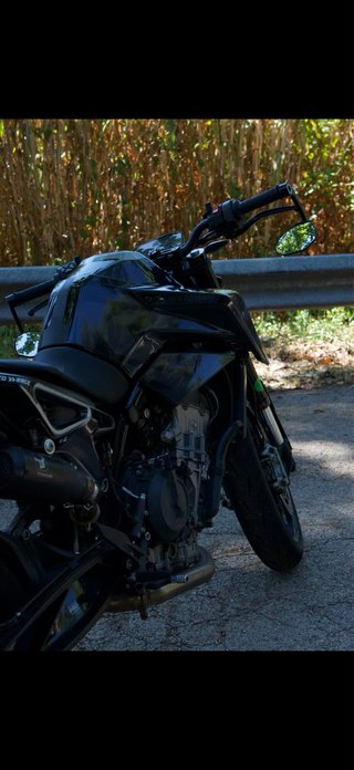 KTM Duke 790 2019