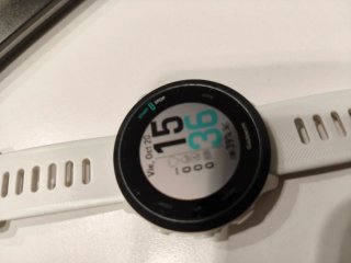 Garmin Forerunner 55 Reloj GPS